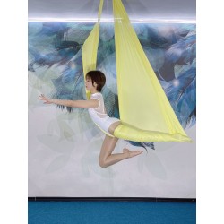 New 2024 Elastic 5 Meters Aerial Yoga Hammock Flying Swing Latest Multifunctional Anti growth Yoga Belts for yoga training